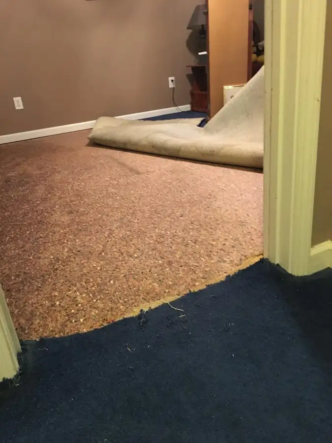 Carpet pad removal revealing water damage during Drying & Dehumidification in North College Hill